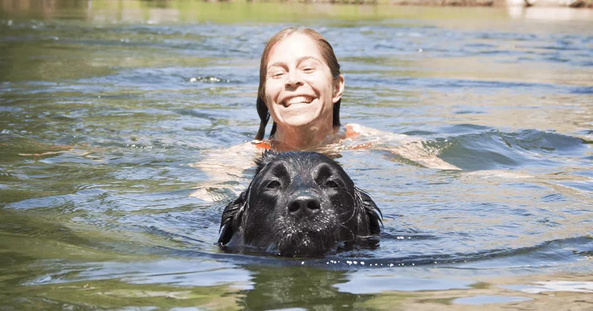dog swimming in river with owner