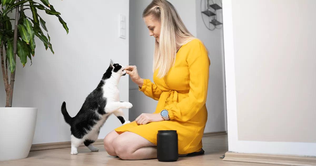 cat training with lady owner