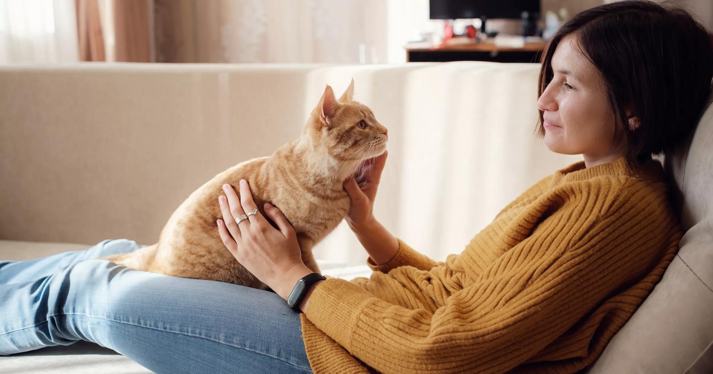 Cat on human’s lap staring intently into their face.