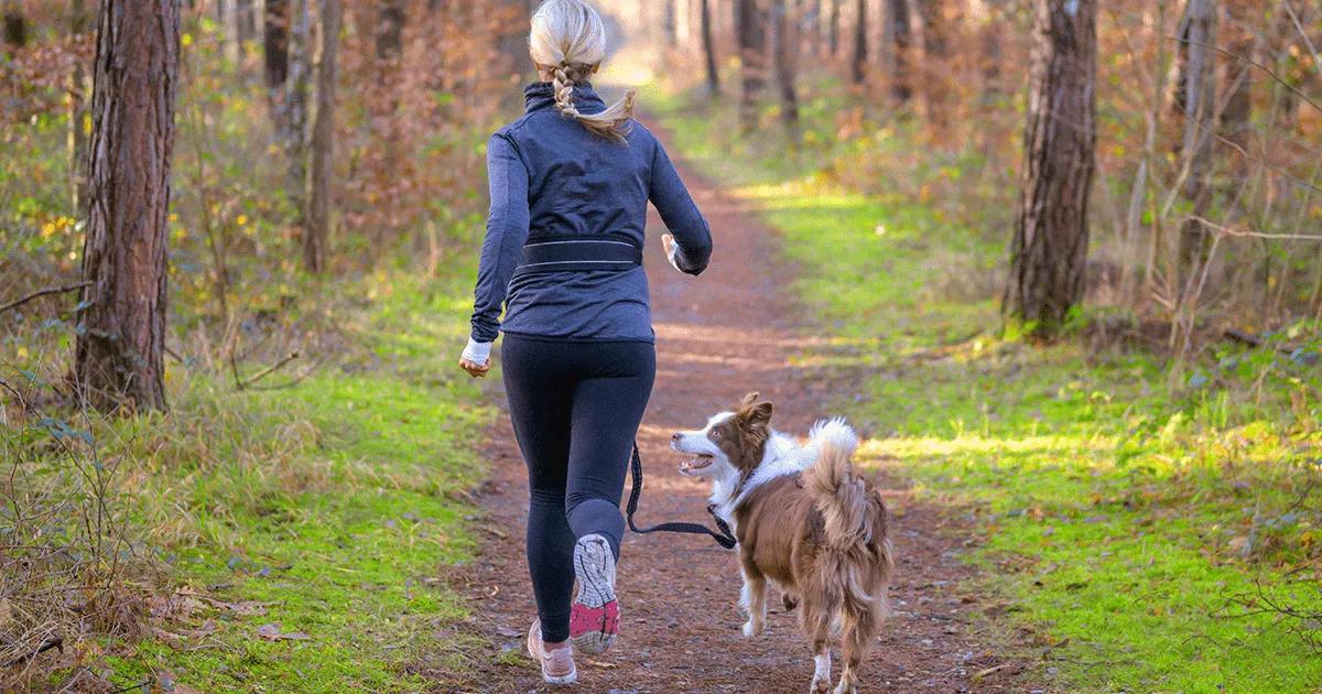 A dog running through a forest with its owner.