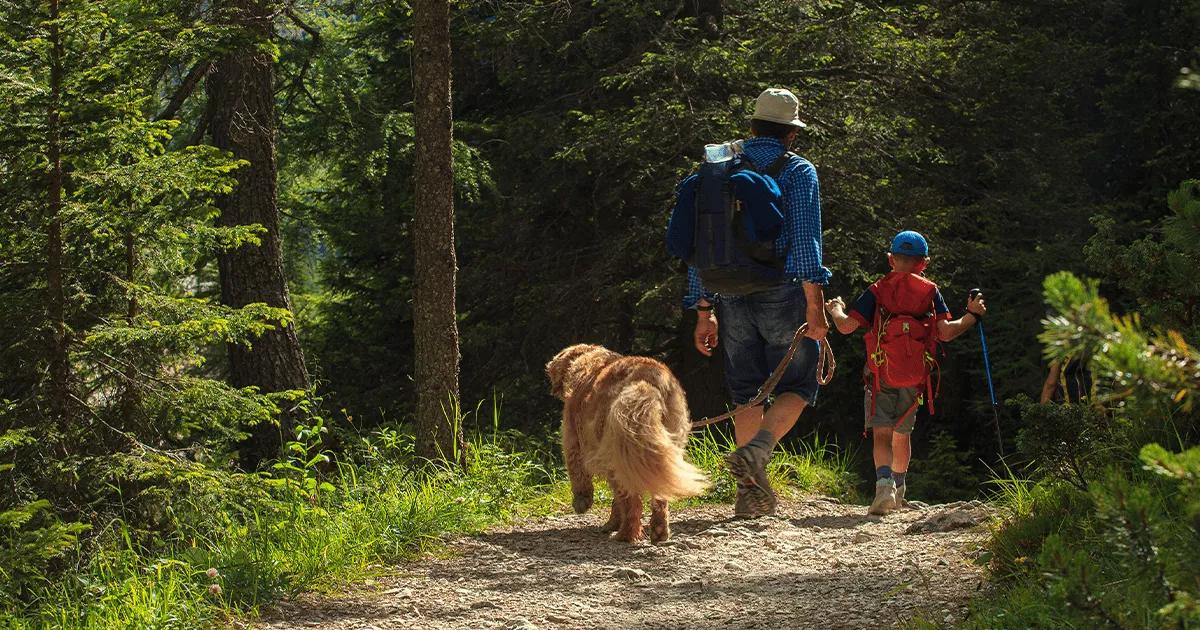 A dog walking through a forest with a dad and his son.
