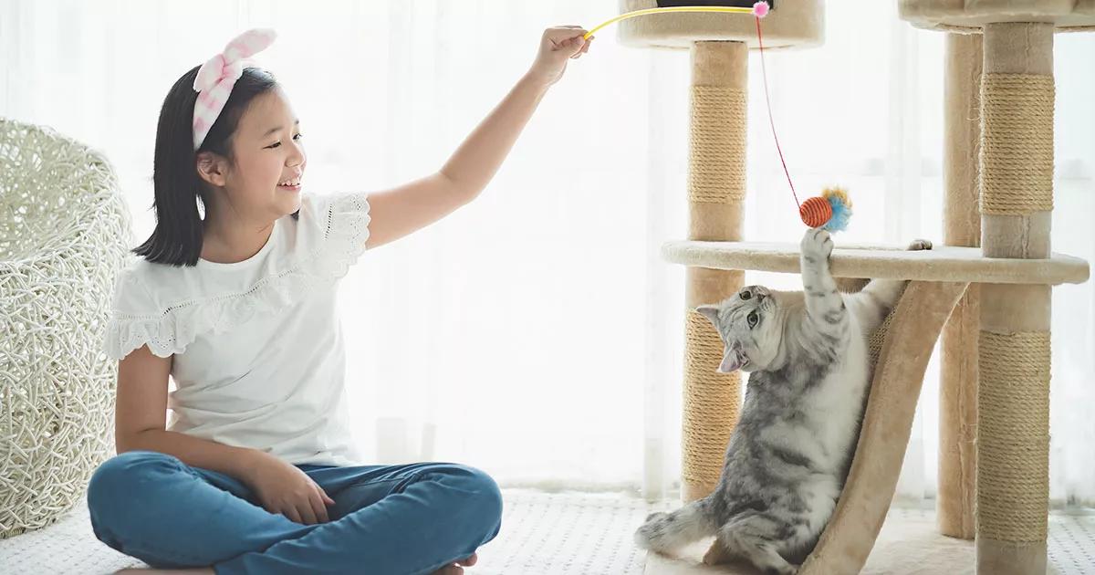 Girl using a fishing rod toy to entice a cat to climb onto a cat tower.