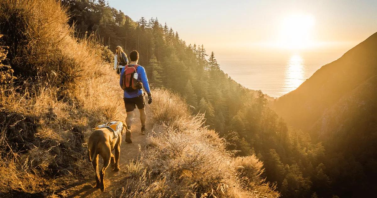 dog and owners hiking on hilly trail