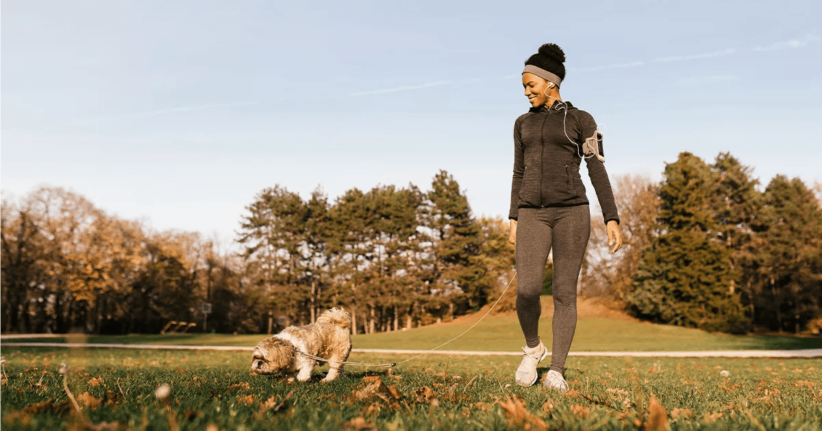 Dog on walk in park.