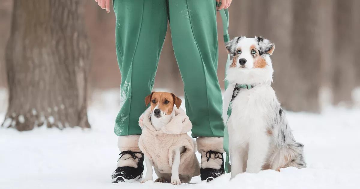 Two coats on a winter walk wearing woolly coats