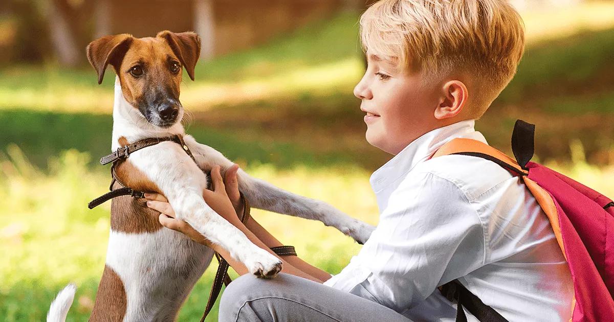 Young boy playing with his dog after school in the park