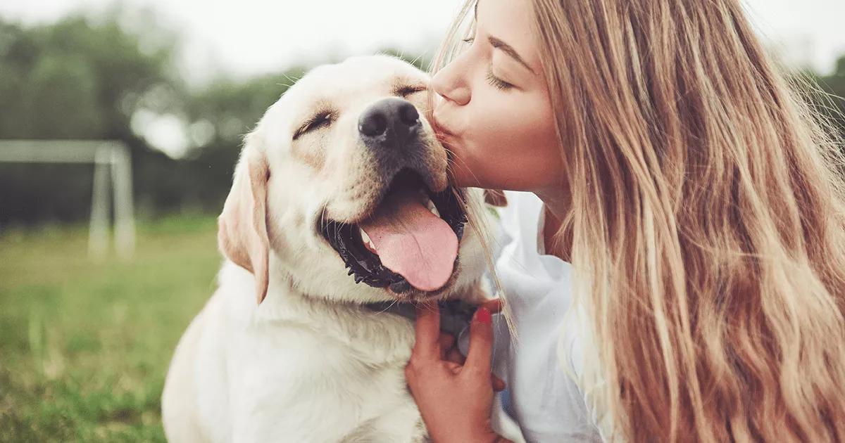 labrador with young lady outside