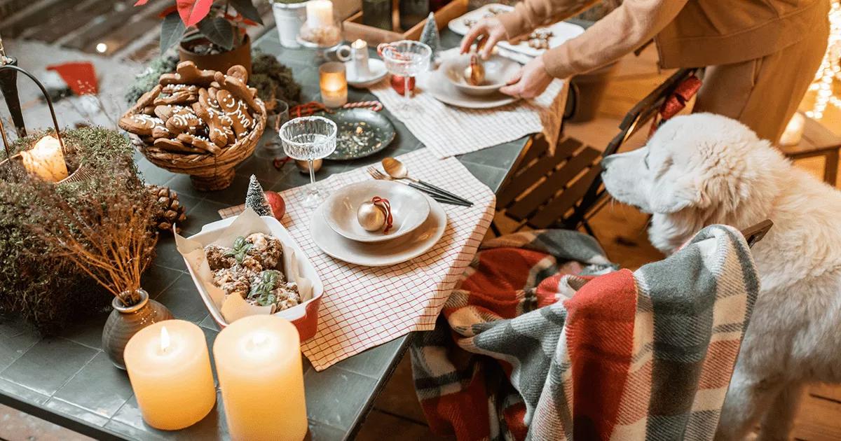 Dog watching its owner serve up Christmas dinner