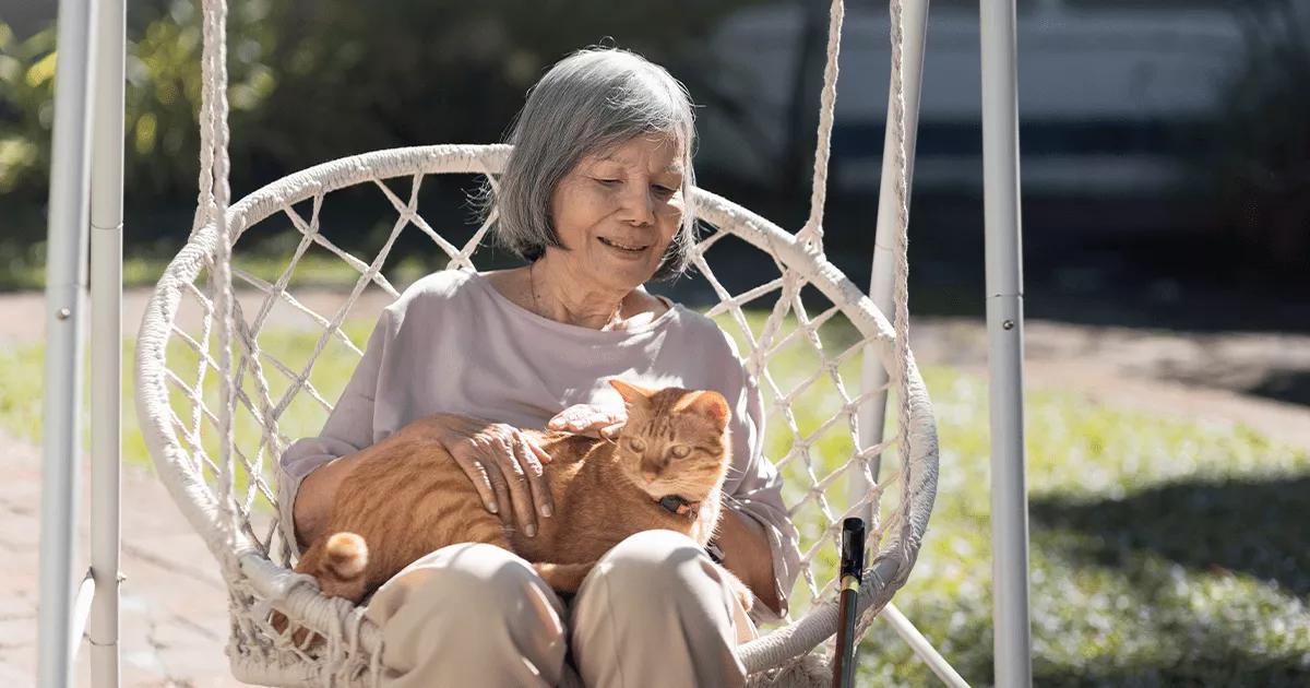 A cat comfortably perched on the legs of a woman, showcasing the bond between human and feline companions