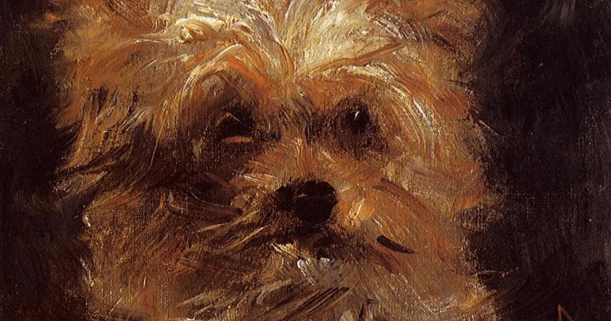 Edouard Manet’s painting ‘Head of a Dog, Bob’.