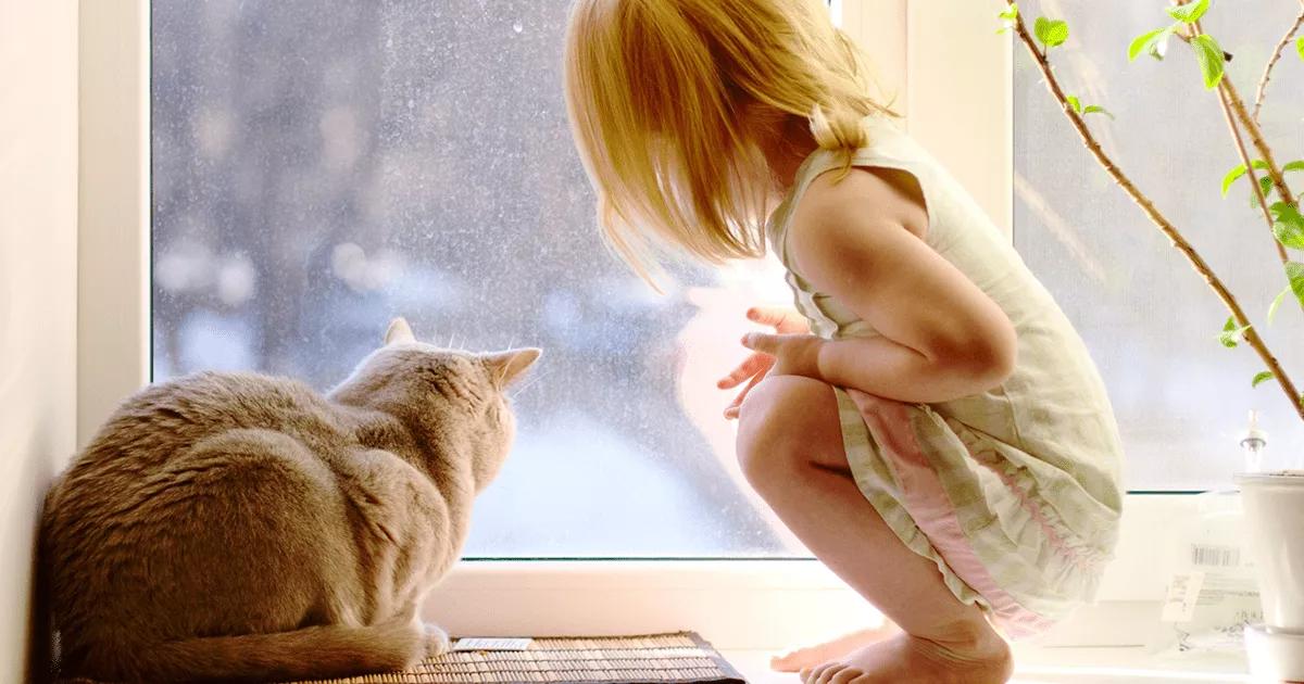 Cat and child looking out a window.