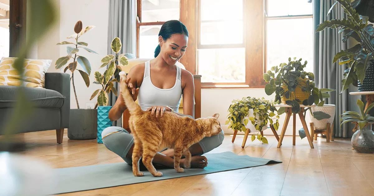 Ginger cat rubbing against a lady doing yoga.