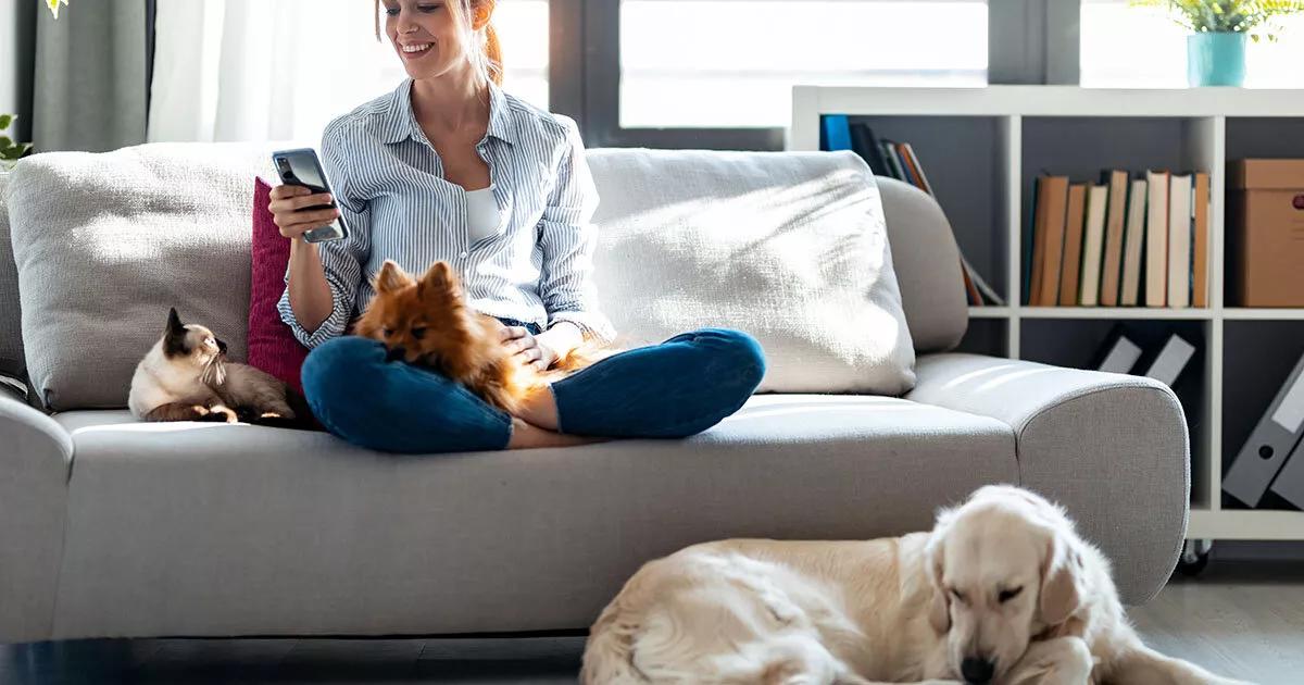 Woman on her sofa with two dogs and a cat.