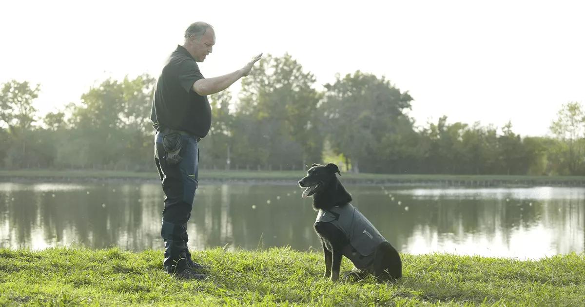 Dog trainer teaching a puppy wearing a ThunderShirt to sit.