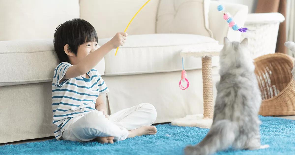 child playing with silver cat