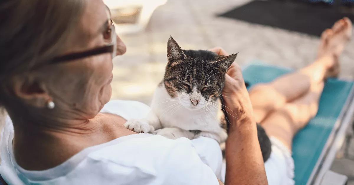 A cat sitting comfortably on a woman's chest, enjoying affectionate companionship