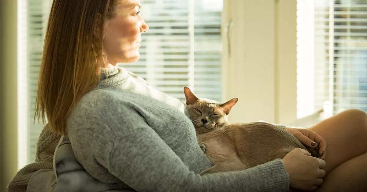 Woman sat on chair with cat asleep on her lap.