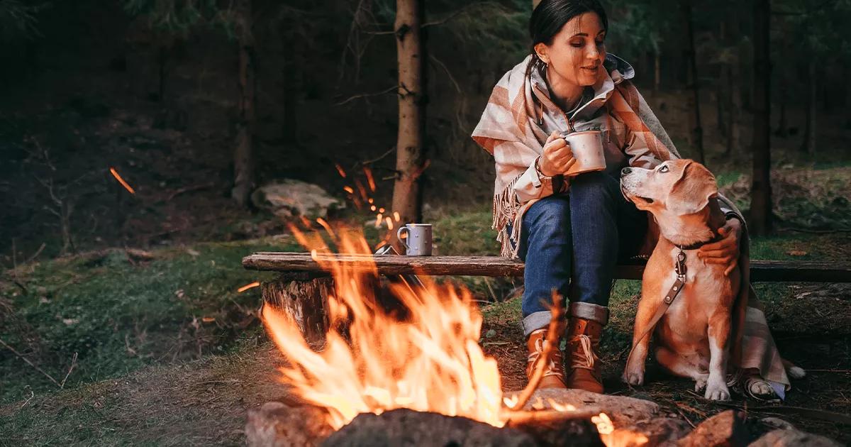 Dog sitting beside owner by a campfire.