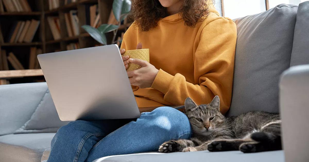 owner with laptop and cat on lap
